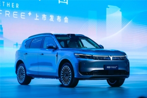 2025岚图用户之夜盛大开启，岚图FREE+重磅上市