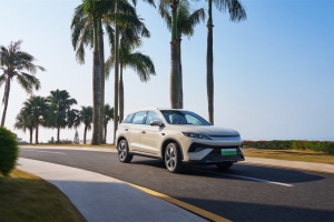 大电池加持！2026款宋Pro DM-i 220km长续航版上市